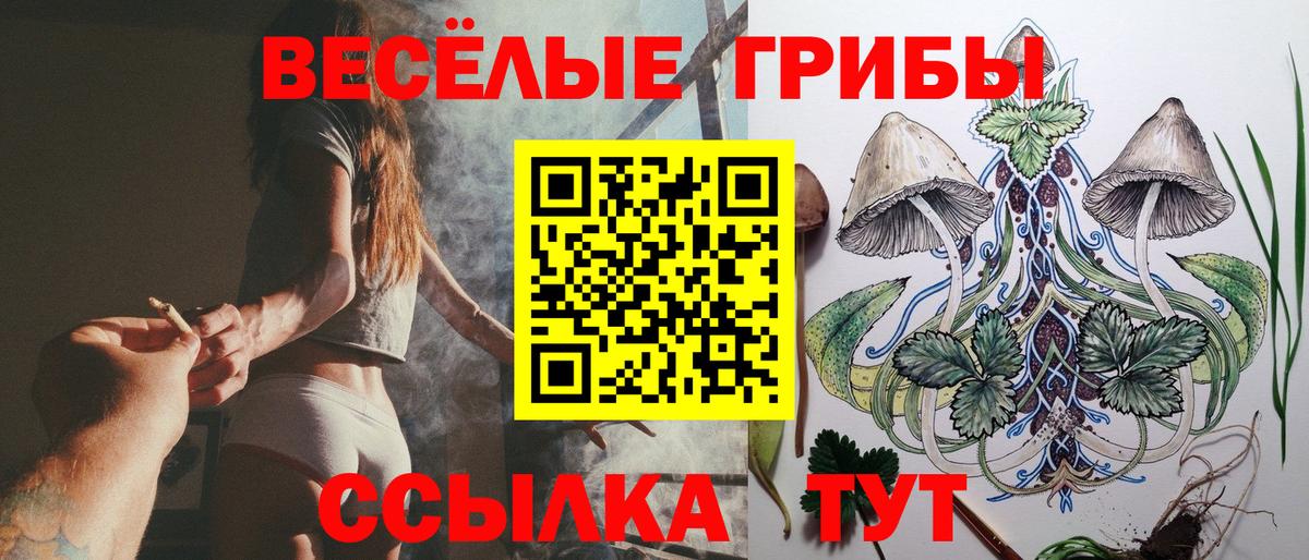 Псилоцибиновые грибы GOLDEN TEACHER Пугачёв